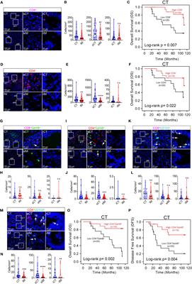 Analysis of Immune Landscape Reveals Prognostic Significance of Cytotoxic CD4+ T Cells in the Central Region of pMMR CRC